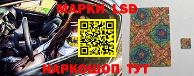 шишки Будённовск