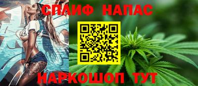 шишки Будённовск