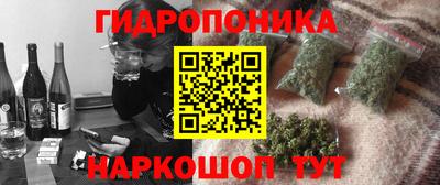 шишки Будённовск