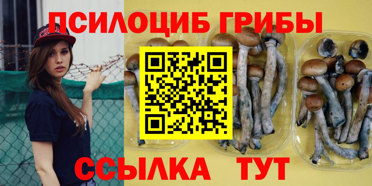 дарнет шоп  Галлюциногенные грибы Magic Shrooms  Вход с VPN  Краснознаменск 