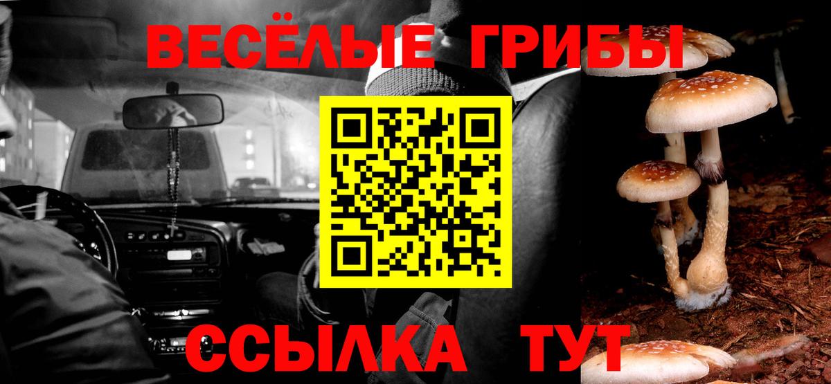 Галлюциногенные грибы мухоморы Краснознаменск